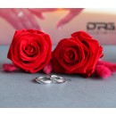 Couple Rings Engagement 925 Sterling Silver Adjustable Men Women