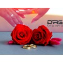 Pair of Engagement Rings in Satin Stainless Steel and Gold