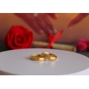 Pair of Engagement Rings in Satin Stainless Steel and Gold