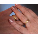 Pair of Engagement Rings in Satin Stainless Steel and Gold