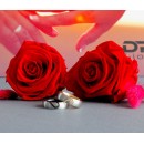 Pair of Satin Finish Rings with Broken Heart