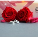 Pair of Steel Engagement Rings with Engraving