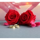 Couple Rings Steel Bands Him and Her Gold with Zirconia