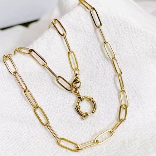 Gold choker in stainless... 2