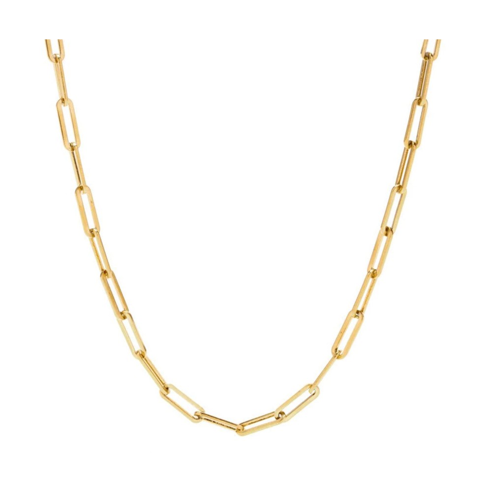 Gold Steel Staple Necklace for Women...