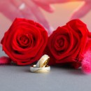 Couple Rings Steel and Gold Bands for Him and Her with Zirconia