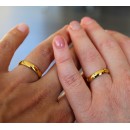 Couple of rings Engagement rings Classic Gold Steel Simple