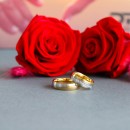 Couple Rings Bands Steel His and Hers Gold and Silver