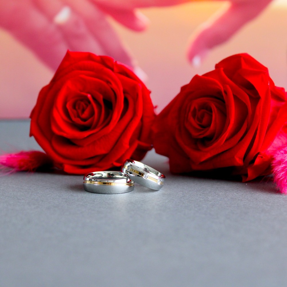 Pair of simple steel rings with...