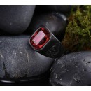 Men's Satin Stainless Steel Ring with Red Zirconia
